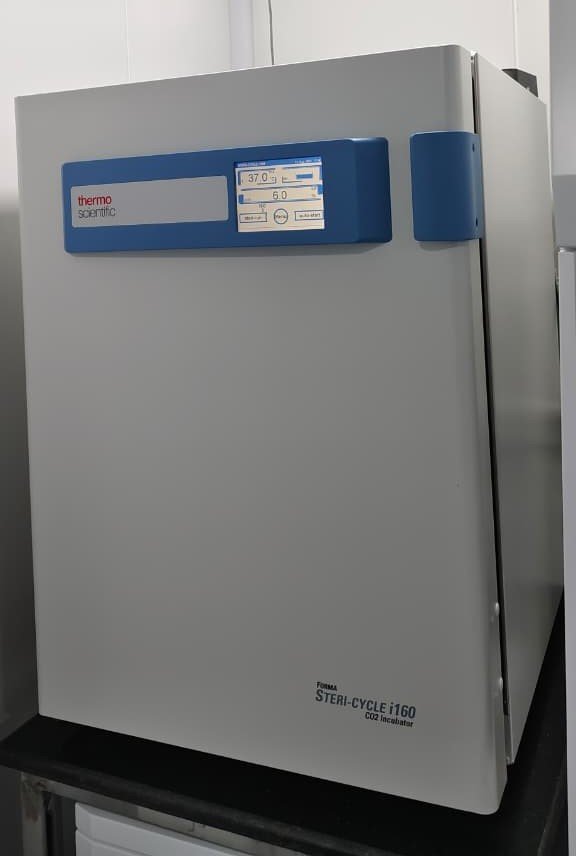 CO2 Incubator for embryo development